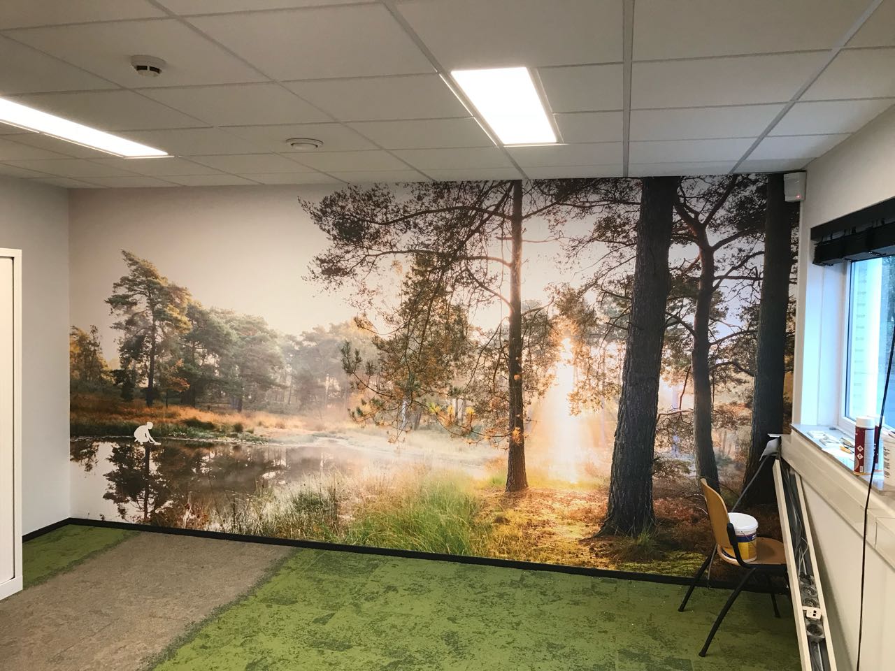 Fotobehang met een bos bij zonsopkomst
